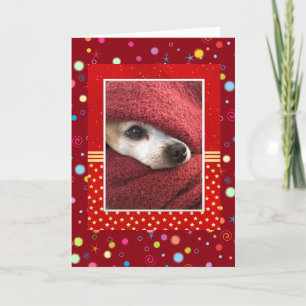 Holiday Chihuahua Card