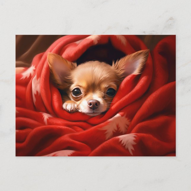 Holiday Chihuahua Postcard (Front)