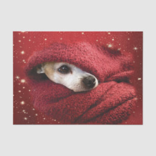 Holiday Chihuahua Tissue Paper