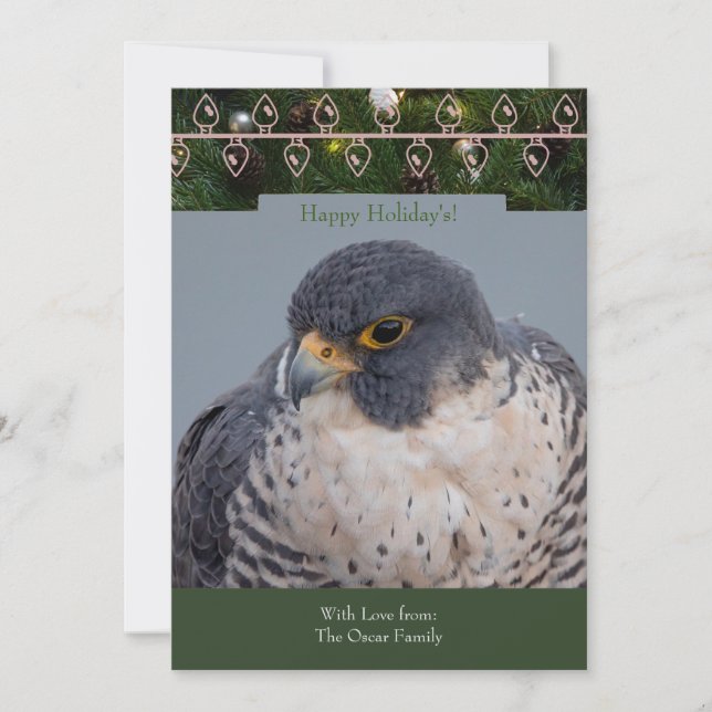 Holiday/Christmas Card with a Peregrine Falcon (Front)