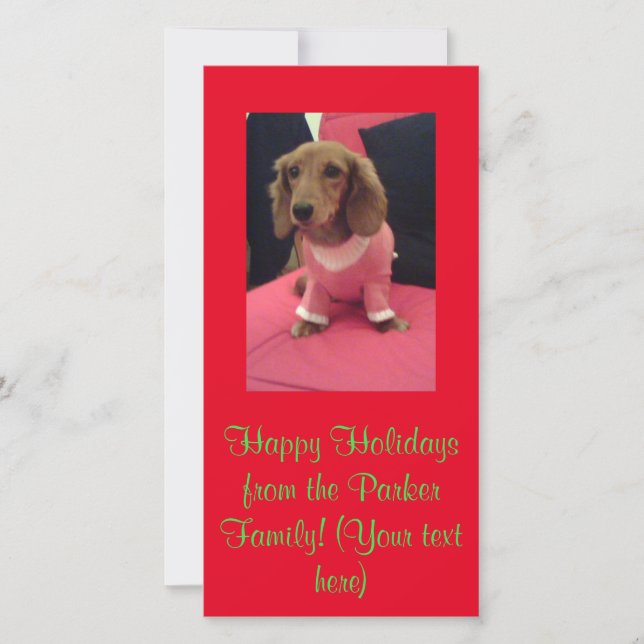 Holiday Christmas Dachshund Red Green (Front)