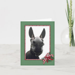 Holiday Cody Card
