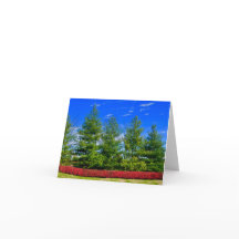 Holiday Colored Nature Folded Card