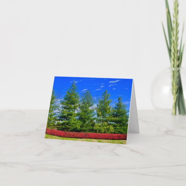Holiday Colored Nature Folded Card (Front)