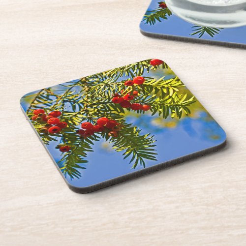 Holiday Conifers Coaster