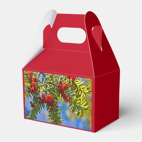 Holiday Conifers Favor Boxes