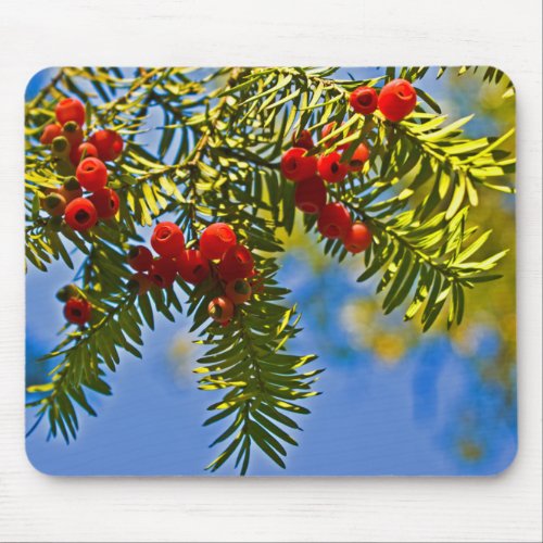 Holiday Conifers Mouse Pad