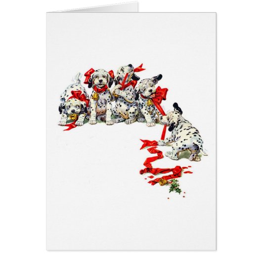 Holiday Dalmatian Pups Cards (Front)