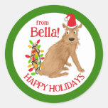 Holiday Dog funny humor cute  Classic Round Sticker