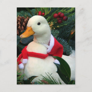 Holiday Duck