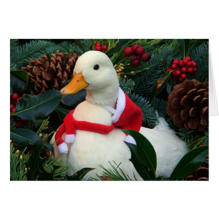 Holiday Duck Greeting Cards