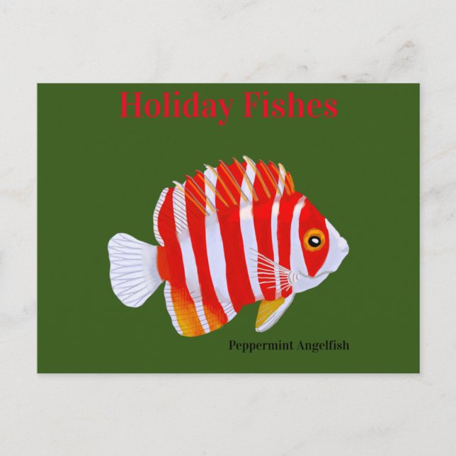 Holiday Fishes Peppermint Angelfish (Front)