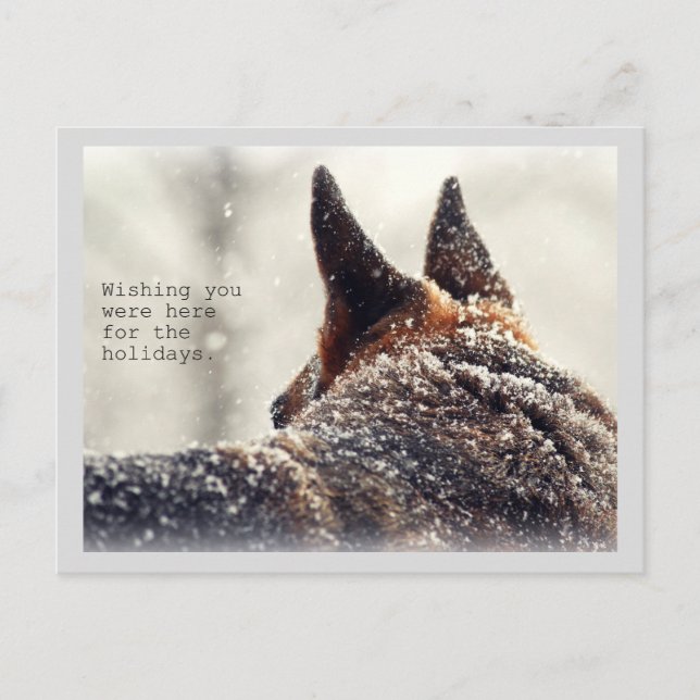 Holiday German Shepherd Postcard (Front)