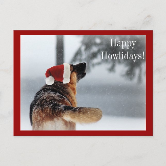 Holiday German Shepherd Postcard (Front)