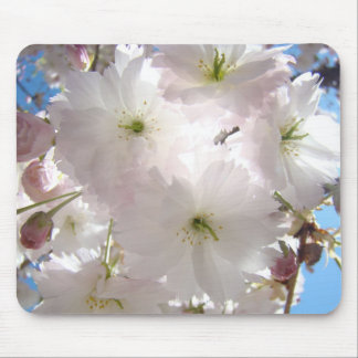 HOLIDAY Gift MOM Pink Blossoms Spring Mouse pad