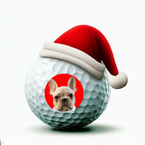 Holiday Golf Gift Upload Your Picture  Golf Balls