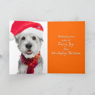 Holiday Greeting Card-Scrappy Jackson Spade Card