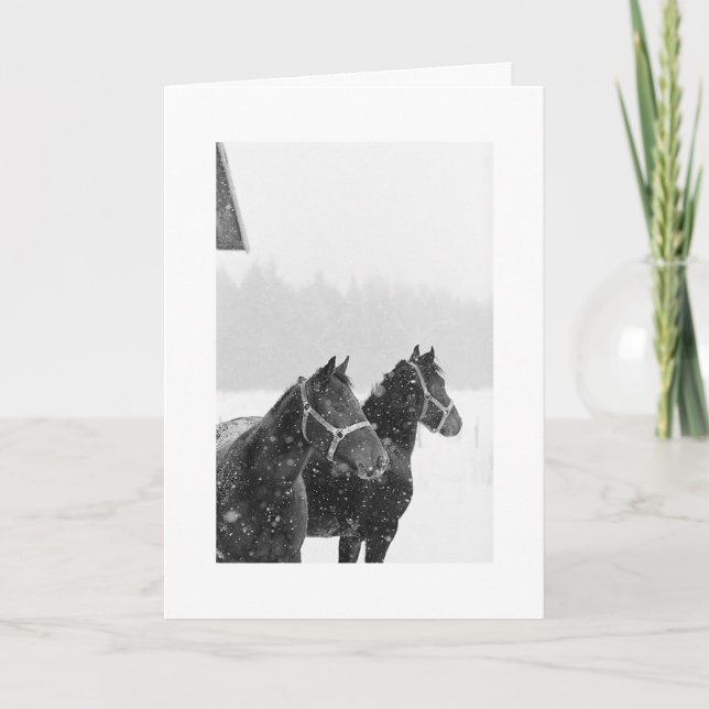 Holiday Greeting Snow Horses Xmas Equine Christmas Card (Front)