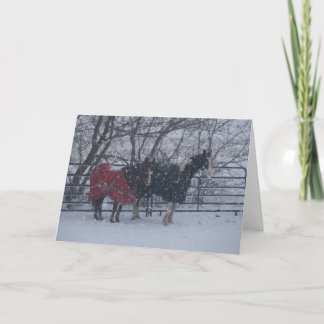 Holiday Greetings Card