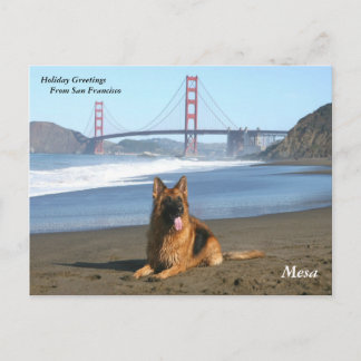 Holiday Greetings from San Francisco Postcard