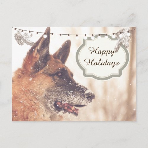 Holiday Greetings German Shepherd Postcard