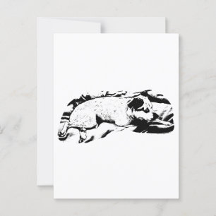 Holiday Hello from Bed and Blanket Postcard