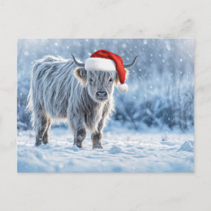 Holiday Highland Calf in the Snow Cute Postcard
