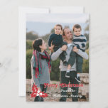 Holiday Holly | Flat Photo Card