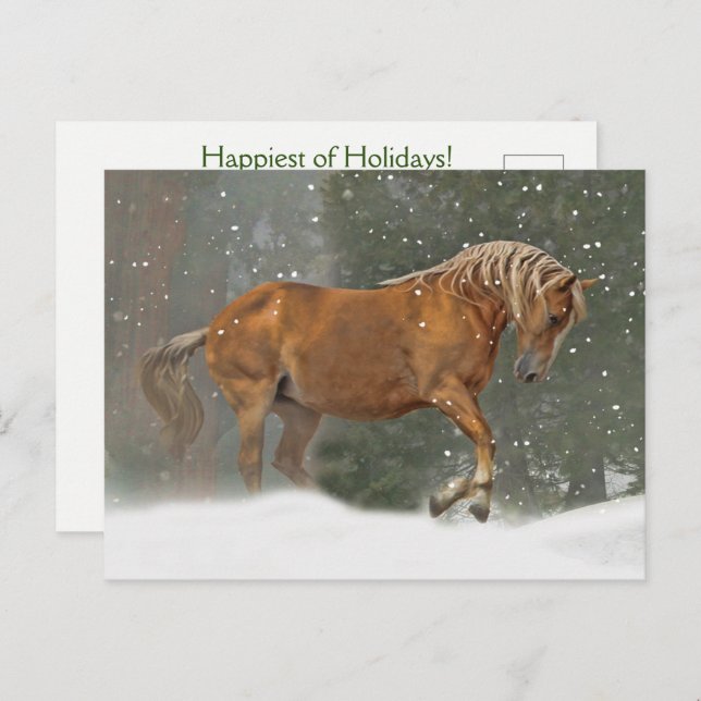 Holiday Horse in Snow Postcard (Front/Back)