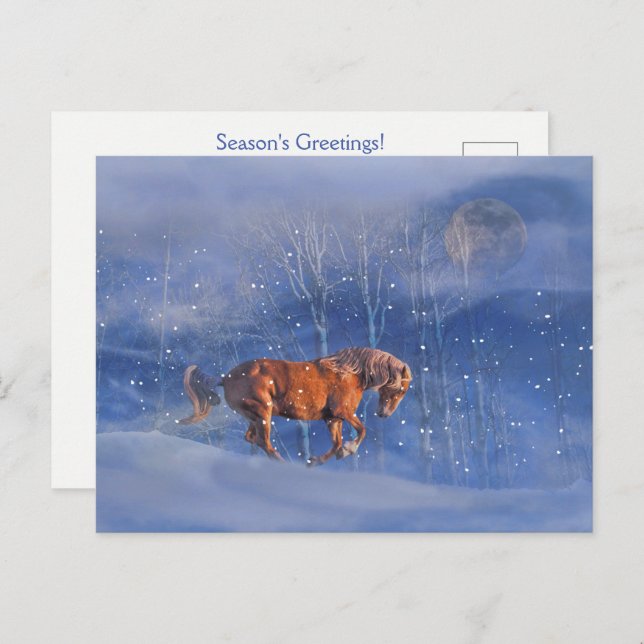 Holiday Horse in Snow Pretty Postcard (Front/Back)