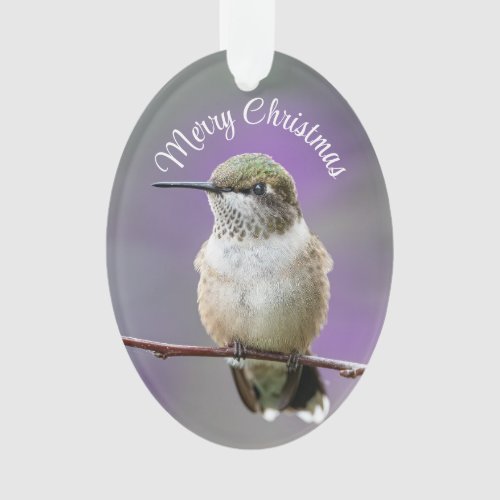 Holiday Hummingbird Acrylic Ornament