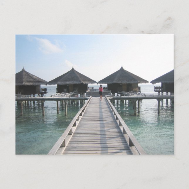 Holiday in Maldives Postcard (Front)