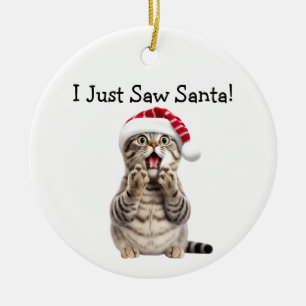 Holiday Kitty Antics Cat Ornament