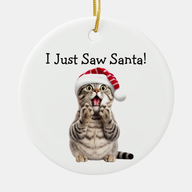 Holiday Kitty Antics Cat Ornament (Front)