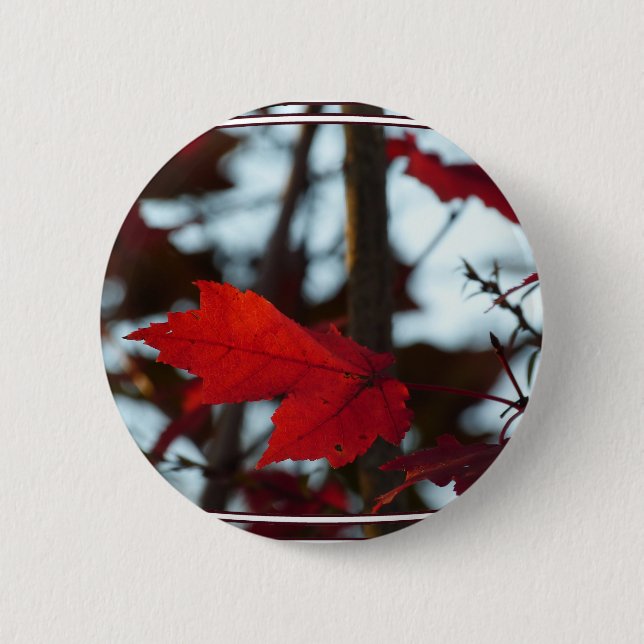 Holiday Leaves Pinback Button (Front)