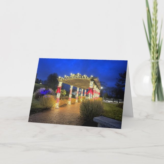 Holiday lights Brewster Gardens Plymouth MA Thank You Card (Front)