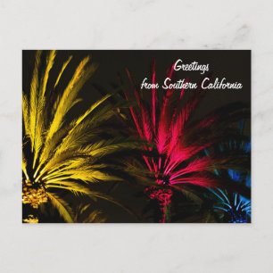 Holiday Lights Palm Tree Postcard