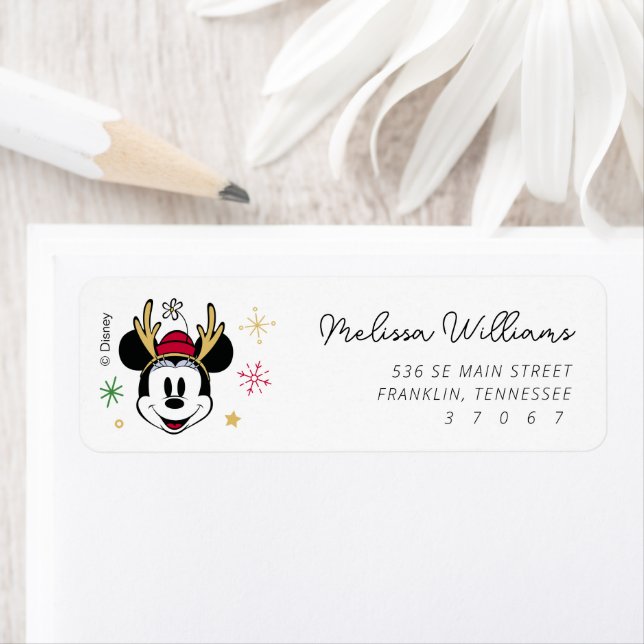 Holiday Mickey and Friends Baby Shower Label (Insitu)