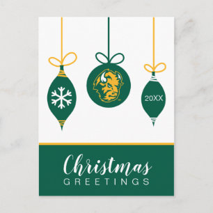 Holiday   North Dakota State Bison Head Postcard