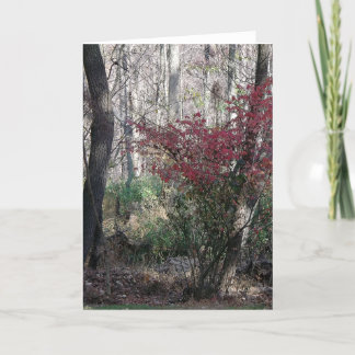 Holiday note greeting card