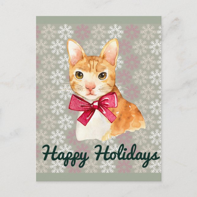 Holiday Orange Tabby Postcard (Front)