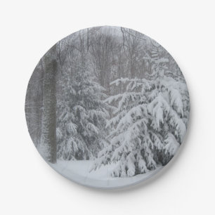 Holiday Paper Plate