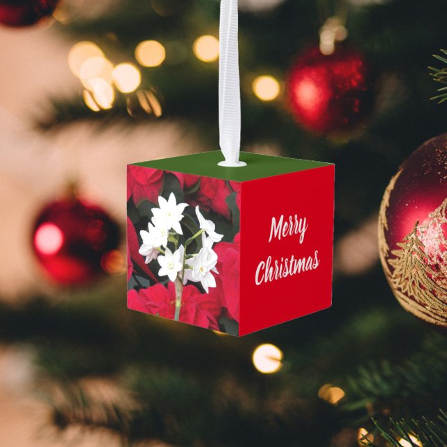 Holiday Paperwhites and Holly Cube Ornament (In Situ)