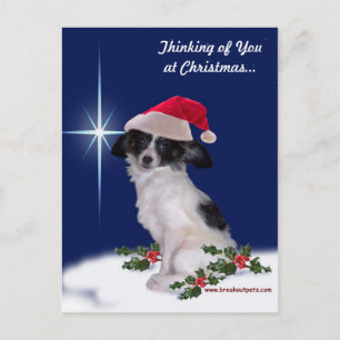 Holiday Papillon Postcard