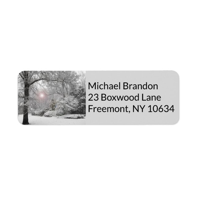 Holiday peace snow sun return address label (Front)