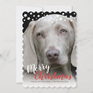 Holiday Photo Card Doggie Love
