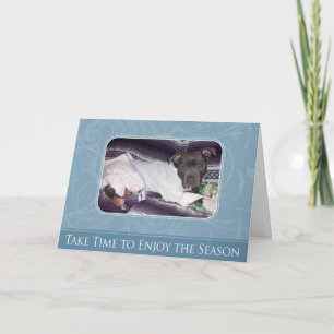 Holiday Pitbull Card