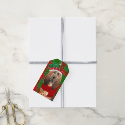 Holiday Plaid with a Bloodhound Dog Christmas Gift Tags