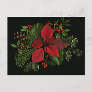 Holiday Postacard Postcard