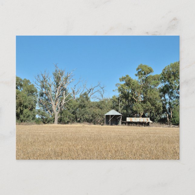 Holiday postcard (Front)